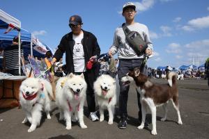 [경북도민일보] 9일 포항 남구 형산강 체육공원에서 열린 ‘제3회 포항 반려동물 문화축제’에 참가한 견종들이 주인의 응원을 받고 있다. 뉴스1