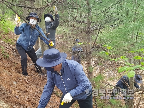 블루원 임직원들이 대덕산 가꾸기 환경보호 활동을 펼치고 있다. 사진=블루원 제공
