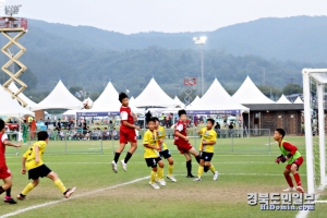 화랑대기 전국 유소년축구대회 모습.